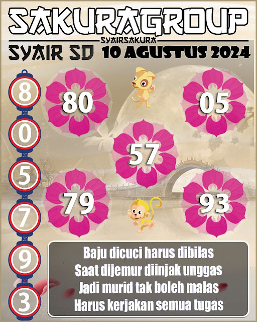 SYAIR SDY VIP